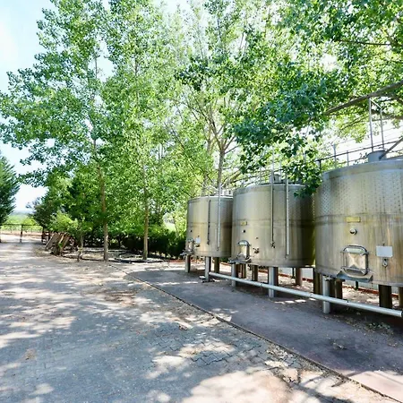 Quinta Da Barreira Villa *