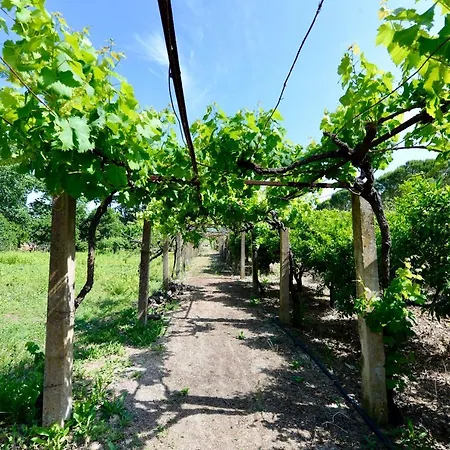 Quinta Da Barreira Villa *