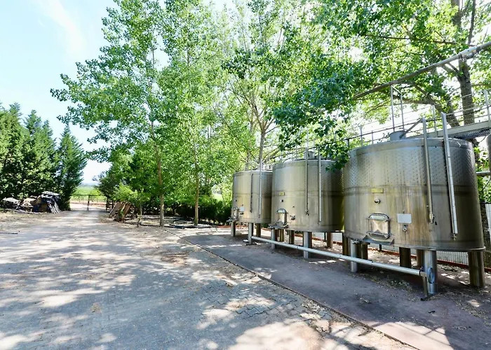 Quinta Da Barreira 别墅 *