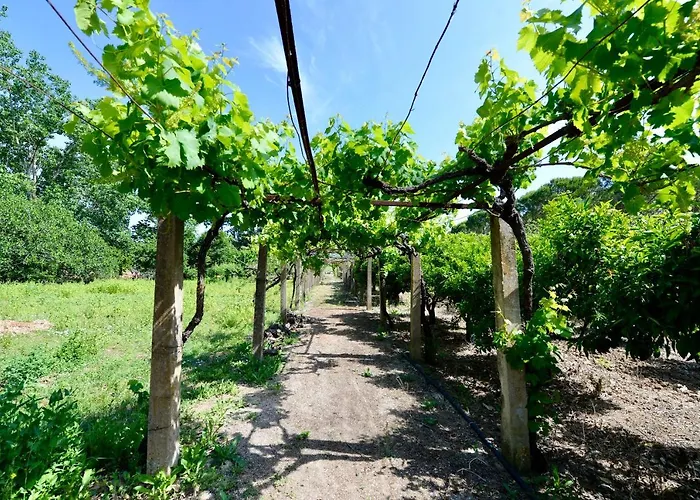 Quinta Da Barreira 别墅 *