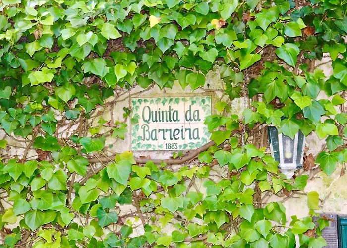 别墅 Quinta Da Barreira